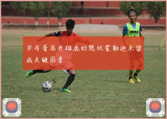 字母哥离开雄鹿的隐忧霍勒迪未留成关键因素