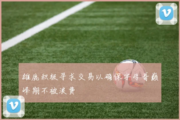 雄鹿积极寻求交易以确保字母哥巅峰期不被浪费